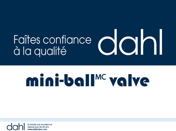 Cliquez sur cette image pour mini-ball™ valve Présentation de formation – Français